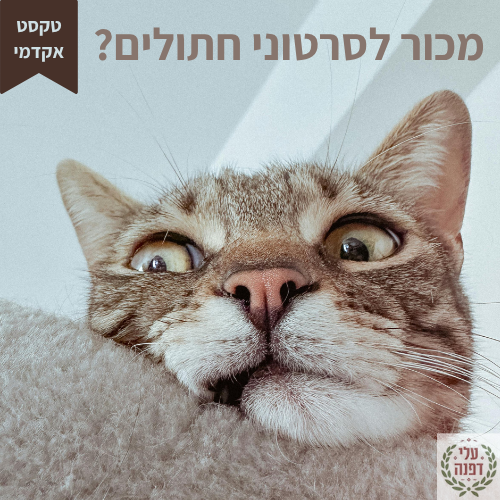טיפים בכתיבה אקדמית l דפנה גלייזר l עלי דפנה - עריכה לשונית ייעודית אקדמית